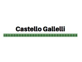 Castello Gallelli