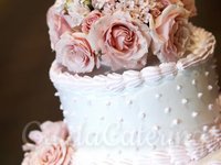 Wedding cake rose