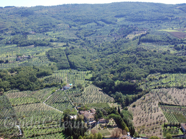 Panorama Montereggi