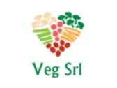 Logo Oh my Veg Srl