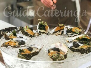 10 Oyster Fusion Experience 