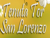 Tenuta San Lorenzo