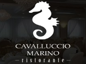 Cavalluccio Marino