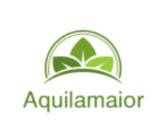 Aquilamaior