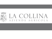 Villa La Collina