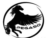Pegasus hotel