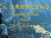 Grand Hotel Il Saraceno